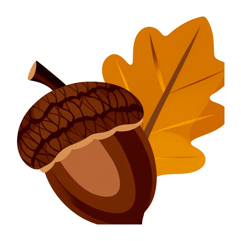 Autumn Maple Leaf Heat Transfe - Iron On Patch recension och pris